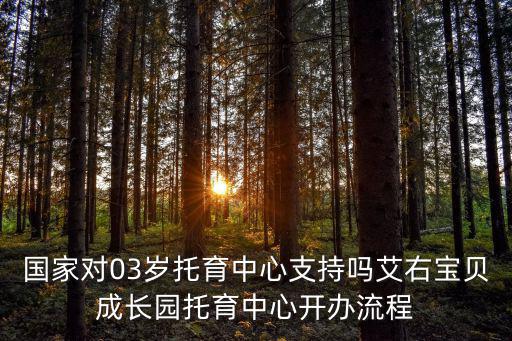 國家對03歲托育中心支持嗎艾右寶貝成長園托育中心開辦流程