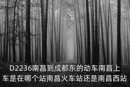D2236南昌到成都東的動車南昌上車是在哪個站南昌火車站還是南昌西站