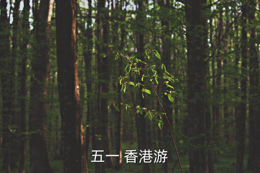 五一港澳游，五一港澳游有什么團購嗎