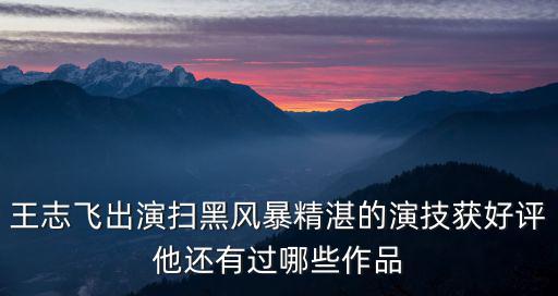 王志飛出演掃黑風(fēng)暴精湛的演技獲好評他還有過哪些作品