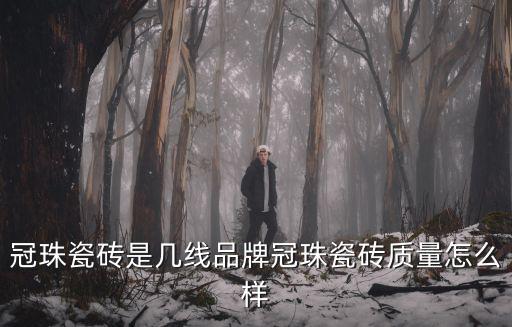 冠珠瓷磚是幾線品牌冠珠瓷磚質量怎么樣