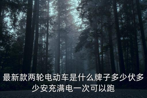 最新款兩輪電動車是什么牌子多少伏多少安充滿電一次可以跑