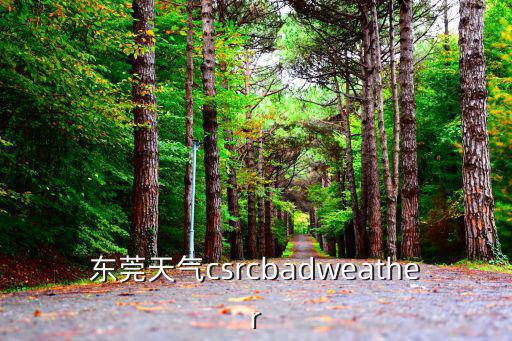 東莞天氣csrcbadweather