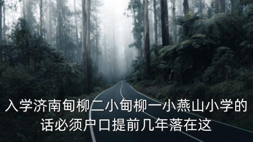 濟南燕山小學，入學濟南甸柳二小甸柳一小燕山小學的話必須戶口提前幾年落在這