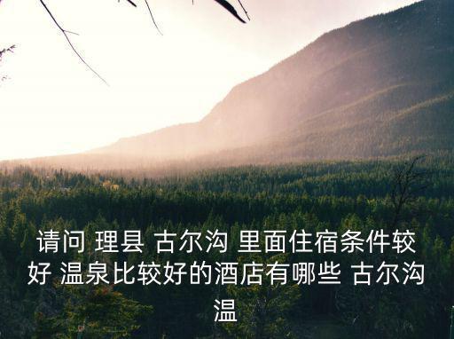 請問 理縣 古爾溝 里面住宿條件較好 溫泉比較好的酒店有哪些 古爾溝溫