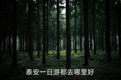泰安一日游都去哪里好