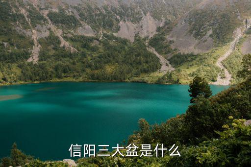 信陽三大盆是什么