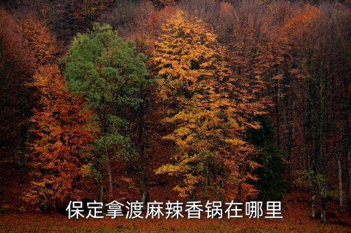 保定拿渡麻辣香鍋在哪里