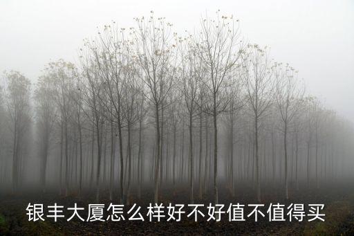 銀豐大廈怎么樣好不好值不值得買