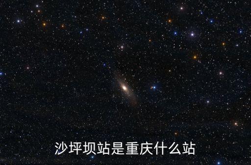 沙坪壩站是重慶什么站