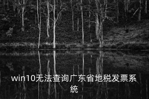 win10無法查詢廣東省地稅發票系統