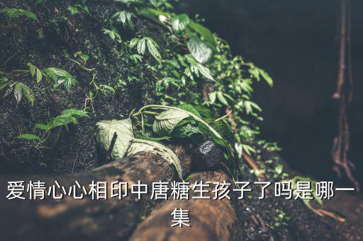 田心一，謎語(yǔ)田心一片磁針石謎底解謎