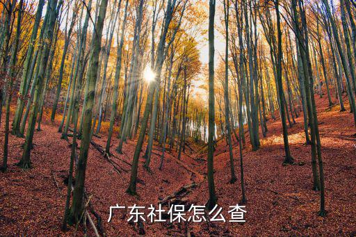 廣東社保怎么查