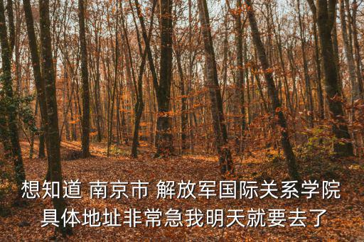 國際關系學院地址，中國人民大學國際關系學院地址