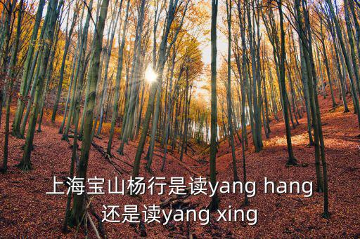 上海寶山楊行是讀yang hang還是讀yang xing