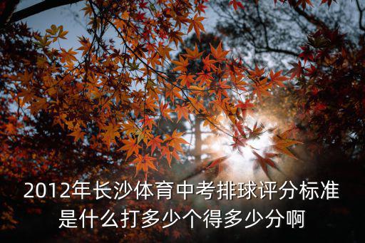2012年長沙體育中考排球評分標準是什么打多少個得多少分啊