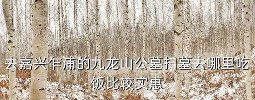 去嘉興乍浦的九龍山公墓掃墓去哪里吃飯比較實(shí)惠