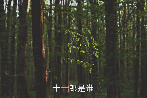 十一郎是誰