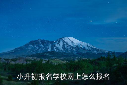小升初報名學校網上怎么報名