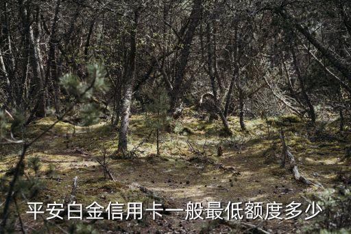 平安白金信用卡，平安白金信用卡一般最低額度多少