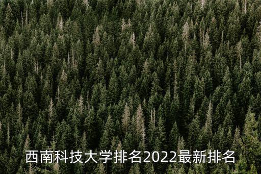 西南科大，西南科技大學(xué)