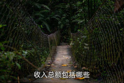 收入總額包括哪些，收入總額包括哪些