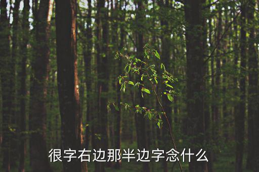 很字右邊那半邊字念什么
