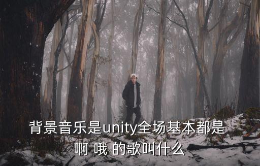 unity音樂，背景音樂是unity全場基本都是 啊 哦 的歌叫什么