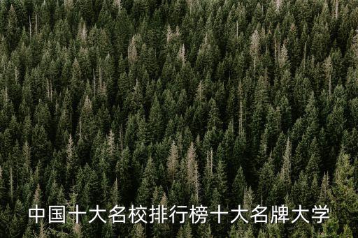 中國十大名校排行榜十大名牌大學