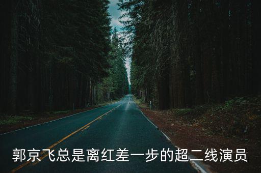 郭京飛總是離紅差一步的超二線演員