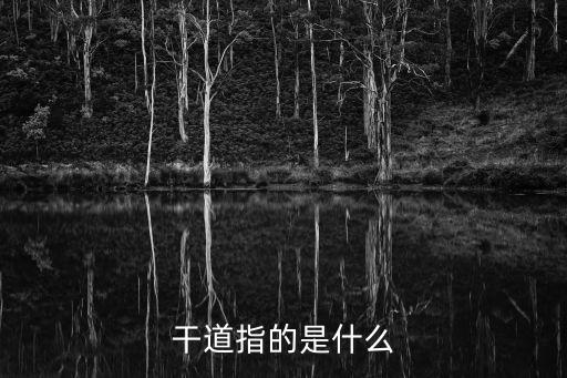 干道，干道指的是什么