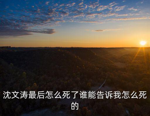 沈文濤最后怎么死了誰能告訴我怎么死的