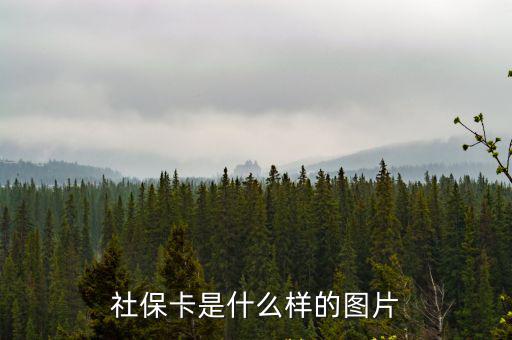 社保卡是什么樣的圖片