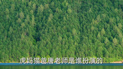 虎媽貓爸唐老師是誰扮演的