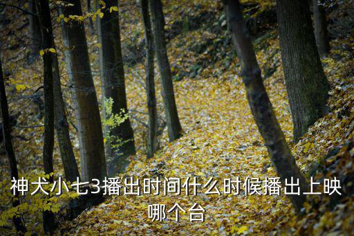 神犬小七3播出時間什么時候播出上映哪個臺