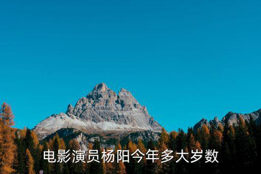 電影演員楊陽今年多大歲數