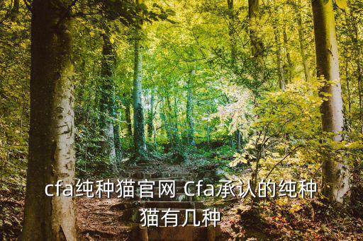 cfa純種貓官網(wǎng) Cfa承認(rèn)的純種貓有幾種