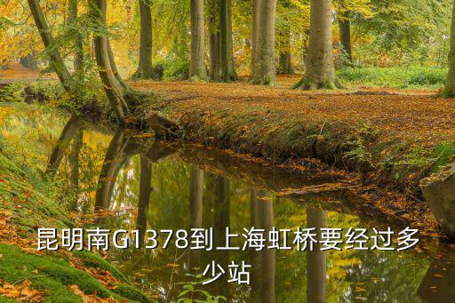 昆明南G1378到上海虹橋要經過多少站