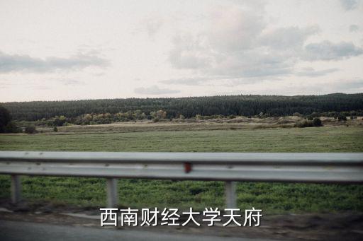 西南財經大學天府，西南財經大學天府