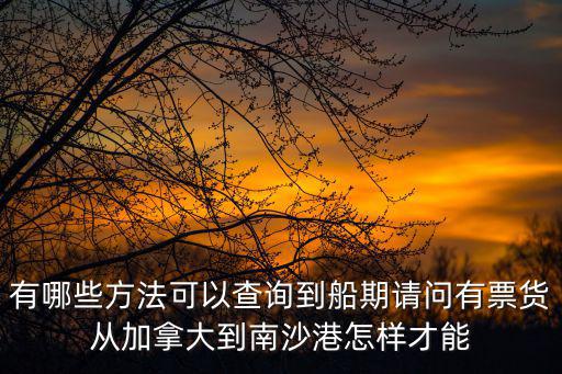 有哪些方法可以查詢到船期請問有票貨從加拿大到南沙港怎樣才能