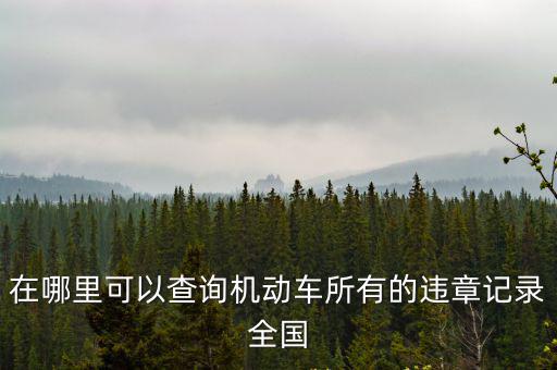 在哪里可以查詢機動車所有的違章記錄全國