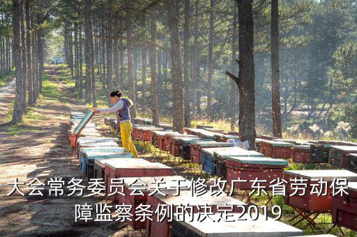 大會常務委員會關于修改廣東省勞動保障監察條例的決定2019