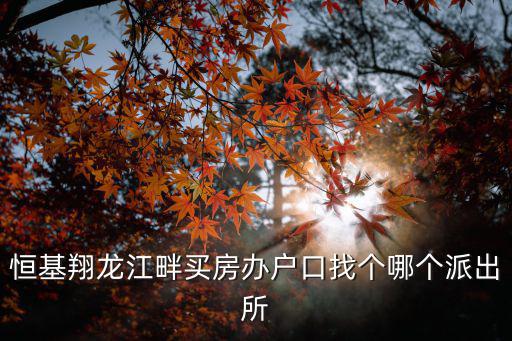 恒基翔龍江畔，恒基翔龍江畔買房辦戶口找個哪個派出所