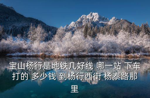 寶山楊行是地鐵幾好線 哪一站 下車打的 多少錢 到楊行西街 楊泰路那里
