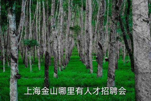 上海金山哪里有人才招聘會