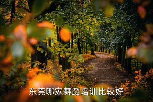 東莞哪家舞蹈培訓比較好