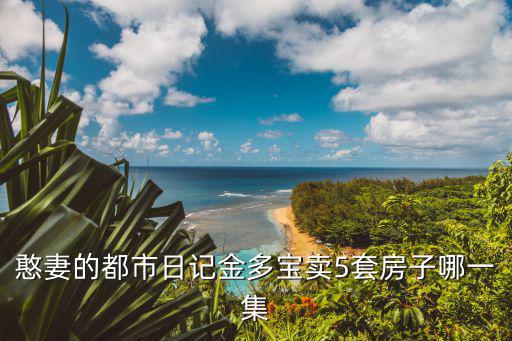 憨妻的都市日記金多寶賣5套房子哪一集