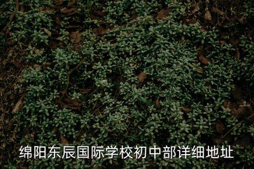 綿陽東辰，綿陽東辰國際學校網站