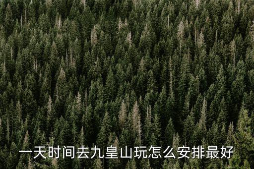 九皇山旅游攻略，四月份想去九皇山玩但是沒(méi)去過(guò)可以在什么地方看相關(guān)的攻略介紹