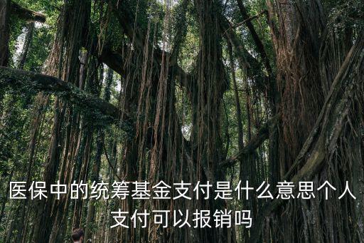 醫保中的統籌基金支付是什么意思個人支付可以報銷嗎